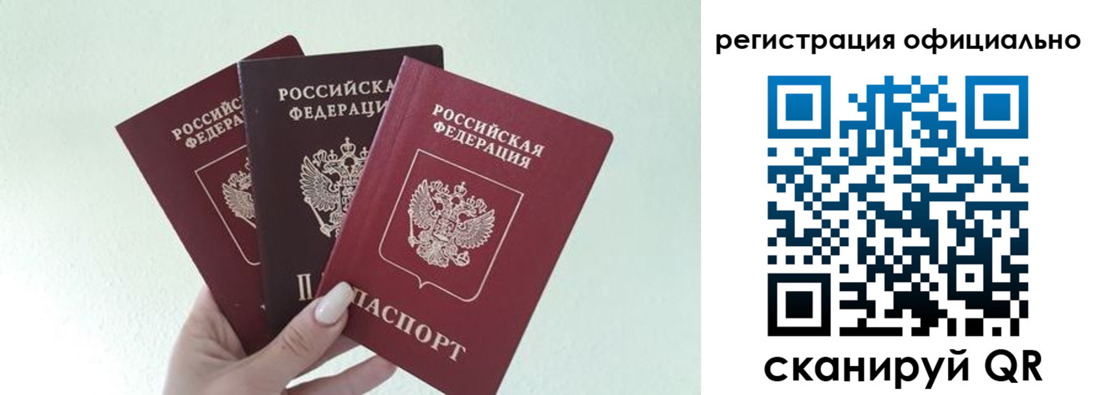 прописка в Сольцах